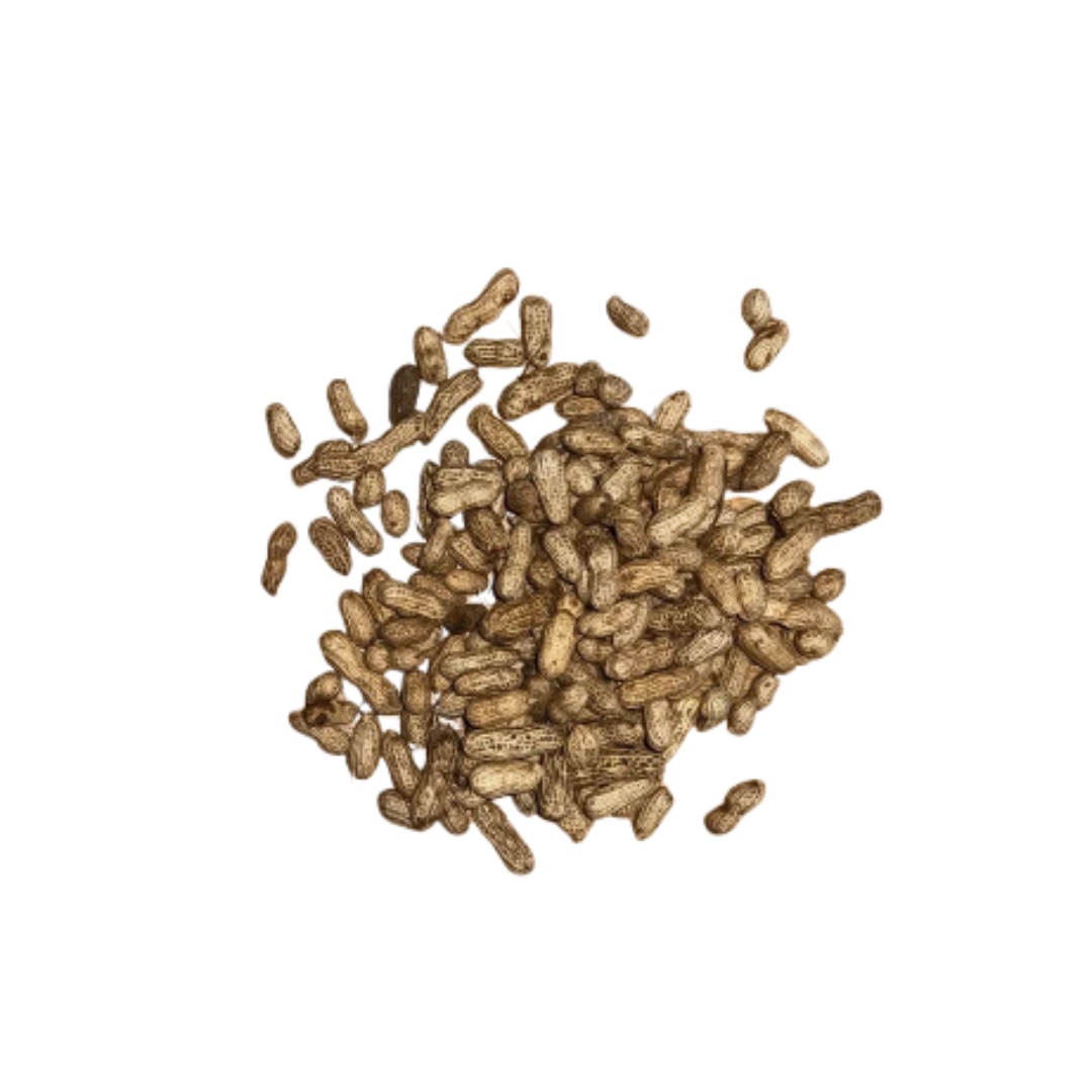 Fresh Groundnuts / peanuts