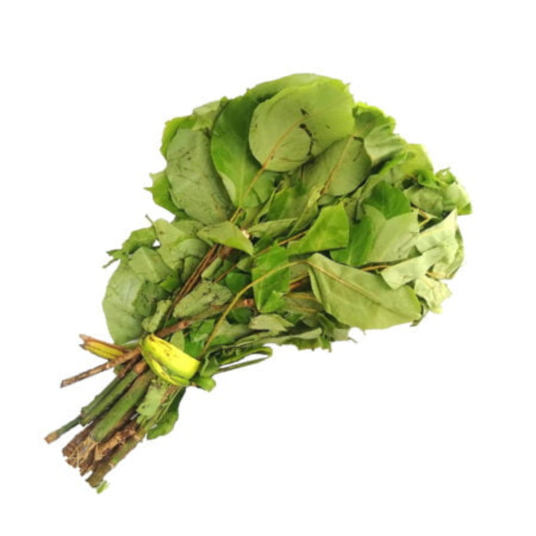 Fresh Oha Leaves