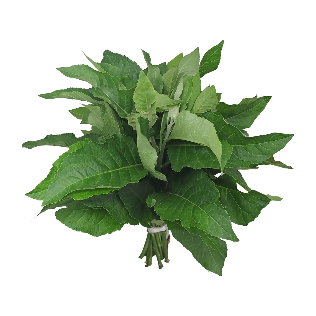 Fresh Bitter Leaves
